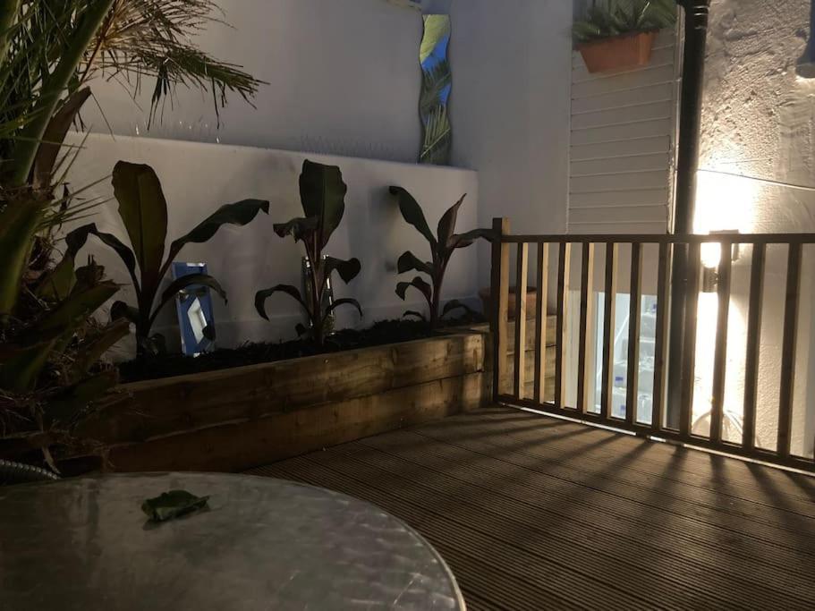 Brighton Palms Apartment Exterior photo