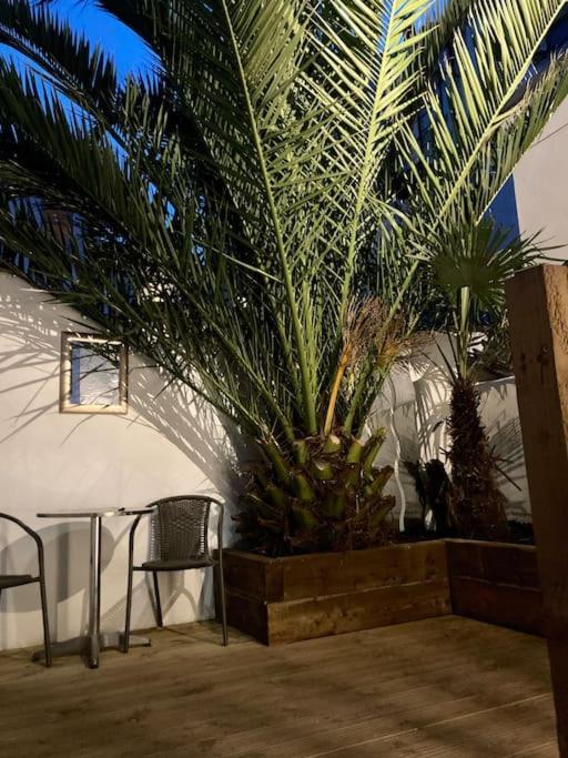 Brighton Palms Apartment Exterior photo